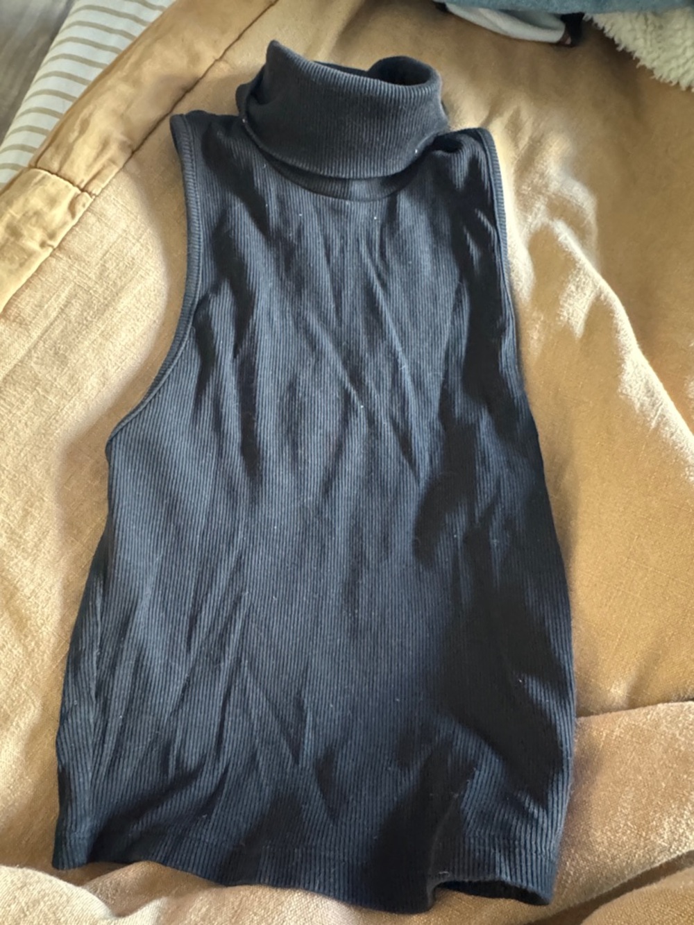 Zara Black Ribbed Turtleneck Crop Top
